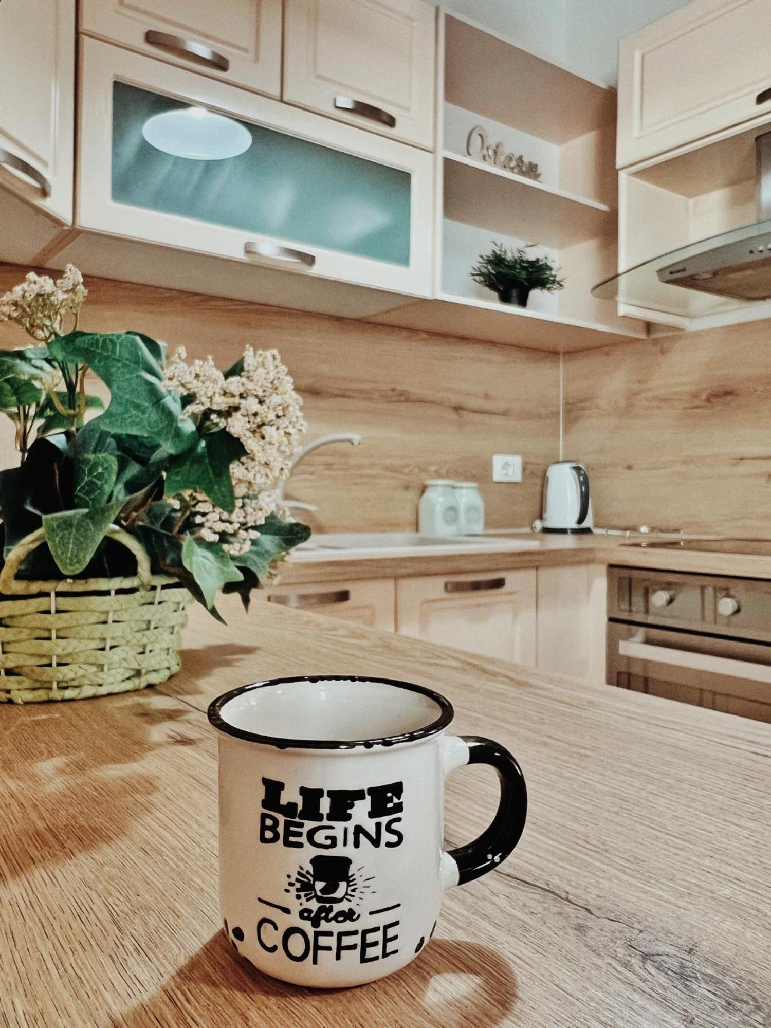 Cozy Rooftop Apartment - Your Home, Away From Home! Tirana Zewnętrze zdjęcie