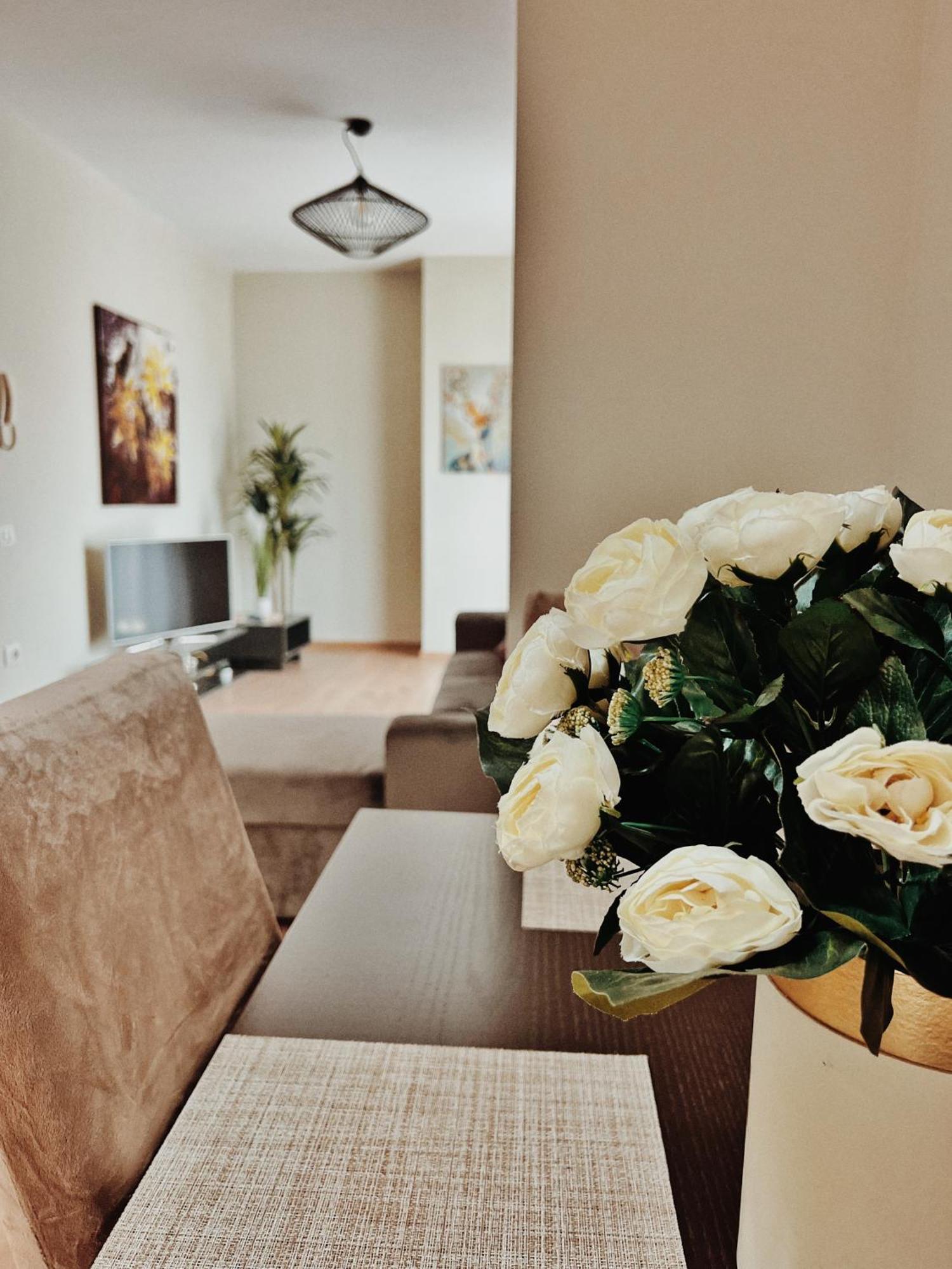 Cozy Rooftop Apartment - Your Home, Away From Home! Tirana Zewnętrze zdjęcie